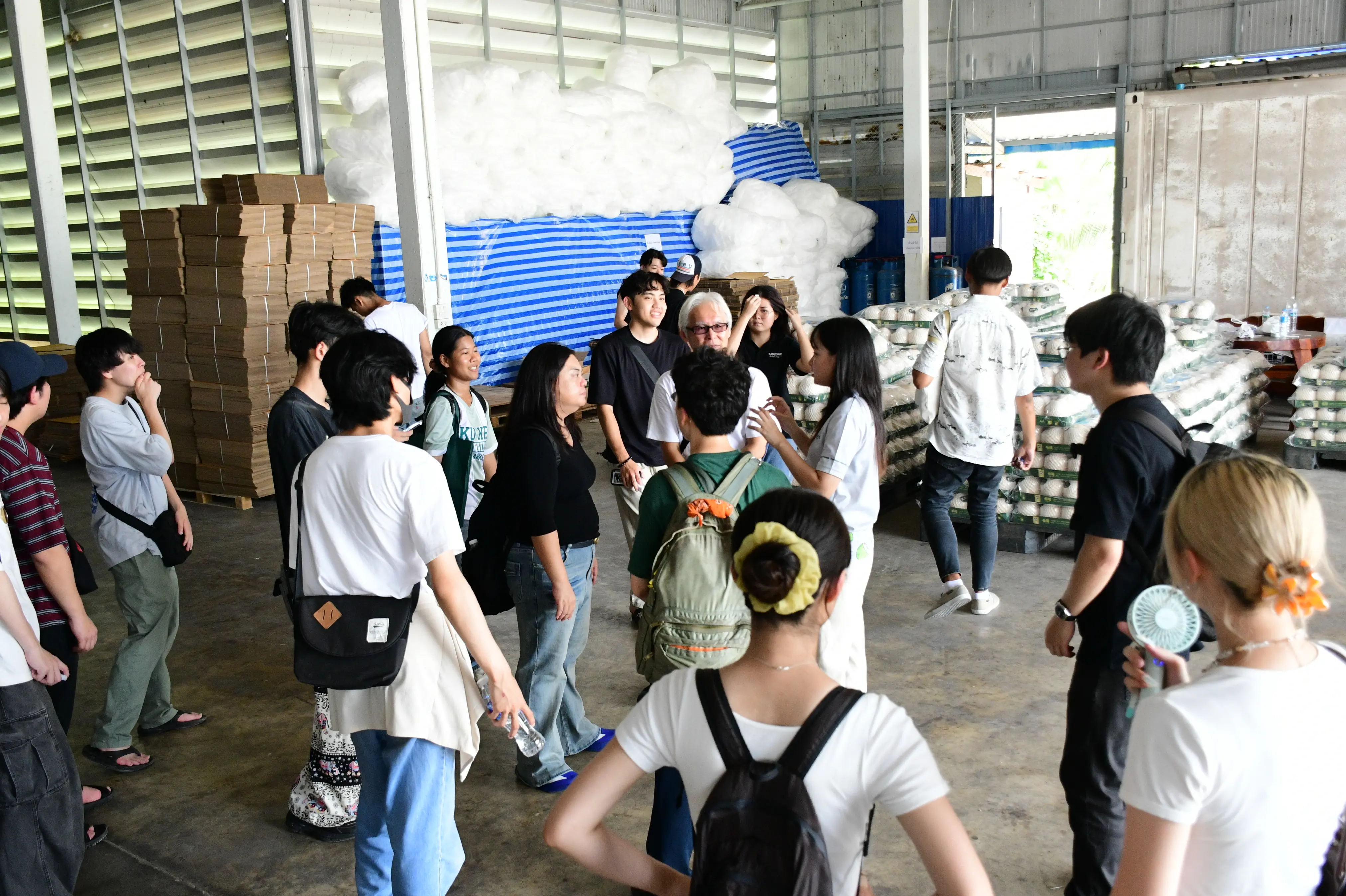 The warehouse holding packed aromatic coconuts ready for shipment to domestic and international markets